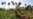 Cuba reconoce fracaso en gestión del sector agropecuario