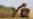 16x9 Image