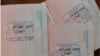 Tres pasaportes cubanos con estampas de Inmigración de parole humanitario, pueden verse en Tampa EEUU, el 21 de diciembre de 2023.