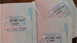 Noticias de Cuba en 5 minutos | 06/10/2025 Tres pasaportes cubanos con estampas de Inmigración de parole humanitario, pueden verse en Tampa EEUU, el 21 de diciembre de 2023.Courtesy Photo