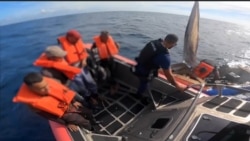 Info Martí | Suman 231 los migrantes irregulares que han sido repatriados a Cuba en lo que va de año Info Martí | Suman 231 los migrantes irregulares que han sido repatriados a Cuba en lo que va de año