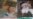 16x9 Image