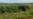 Cuba se encamina hacia la zafra más pequeña de su historia