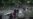 16x9 Image