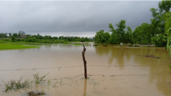 Habaneros temen consecuencias a corto y mediano plazo tras recientes inundaciones Habaneros temen consecuencias a corto y mediano plazo tras recientes inundaciones