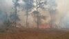 Incendio forestal en Pinares de Mayarí, en la provincia de Holguín. (Fuente: Facebook/Emilio Rodríguez Pupo)