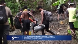 Miles de migrantes han cruzado la peligrosa selva del Darién este año Miles de migrantes han cruzado la peligrosa selva del Darién este año