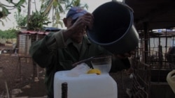 Info Martí | Tomar leche es un lujo en Cuba Info Martí | Tomar leche es un lujo en Cuba