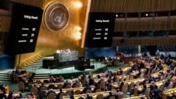 Activistas cubanos desnudan al régimen en asamblea paralela en la ONU  Activistas cubanos desnudan al régimen en asamblea paralela en la ONU