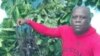 La salud del sacerdote yoruba Loreto Hernández García se deteriora en prisión, alertaron familiares a Martí Noticias.