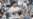 16x9 Image