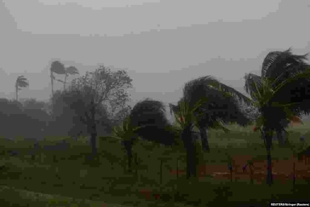 Fuertes vientos y  lluvias impactaron los cultivos después de que el huracán Ian tocara tierra antes en la provincia cubana de Pinar del Río, en Consolación del Sur, Cuba, el 27 de septiembre de 2022. REUTERS/Stringer 