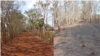 La finca de Andy Amaro antes y después del incendio.