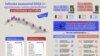 Artículo 19. Diagrama de la represión en Cuba en primer semestre de 2022