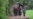16x9 Image