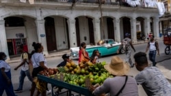 Expertos desde la isla, analizan los incumplimientos anunciados en reunión del Consejo de Ministros de Cuba. Expertos desde la isla, analizan los incumplimientos anunciados en reunión del Consejo de Ministros de Cuba.