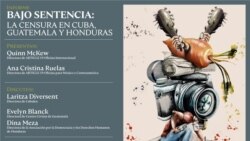 Las declaraciones en apoyo al rapero cubano Denis Solís Las declaraciones en apoyo al rapero cubano Denis Solís