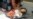 16x9 Image