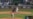Sigue la huella de los cubanos en MLB: Randy con Grand Slam; Soler y Yandy la botan