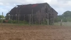 Así quedó una casa de tabaco afectada por la tormenta Laura en agosto Así quedó una casa de tabaco afectada por la tormenta Laura en agosto