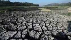 Honduras declara emergencia por sequías Honduras declara emergencia por sequías