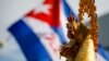 Caridad del Cobre en las calles de Miami en apoyo a manifestantes en Cuba 14N.