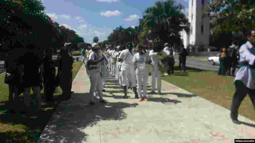  Damas de Blanco marchan por 5ta Avenida