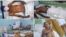 Combinación de fotografías de los huelguistas de hambre de UNPACU.