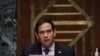 Marco Rubio, senador republicano por la Florida (Joe Raedle / AFP).