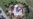16x9 Image