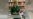 16x9 Image