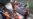 16x9 Image