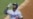 Cubano Yasiel Puig gana trofeo por su buena labor defensiva