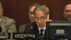 Miembros de la OEA se debaten entre la aplicación o no de la Carta Democrática a Venezuela Miembros de la OEA se debaten entre la aplicación o no de la Carta Democrática a Venezuela