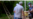Que arresten a los dirigentes, dicen los cubanos molestos por operativo contra exitoso quesero