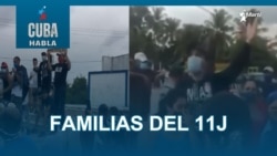 Familias del 11j Familias del 11j