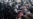 5 muertos durante el asalto al Capitolio en DC