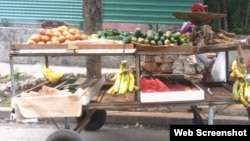 Reporta Cuba / Carretilleros