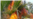 Incendio en Camagüey controlado, "pero no acabado"