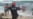 VIDEO captura desembarco de 17 cubanos en Isla Mujeres