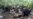 Un nuevo "atajo" en la ruta de los cubanos a EEUU, alerta Bloomberg (VIDEO)