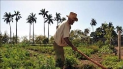 La solución a la escasez de alimentos requiere de aperturas La solución a la escasez de alimentos requiere de aperturas
