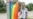 Comunidad LGBTI en Cuba no puede celebrar el Día del Orgullo Gay