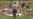 16x9 Image
