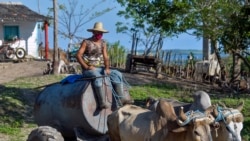 El gobierno asfixia a los campesinos con la subida de costos de producción El gobierno asfixia a los campesinos con la subida de costos de producción