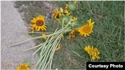 Policía destruye flores para homenaje a Payá y Cepero Foto cortesía deOtoniel Cruz