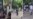 Cuestionan sistema judicial cubano tras fallo sobre trifulca entre pandillas en Finca de los Monos