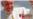 Economista cubano recibido por el Papa junto a participantes de foro “Economía de Comunión”