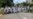 Reportan arrestos en Cuba para impedir campaña #TodosMarchamos
