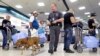 Un chequeo en el Aeropuerto Internacional de Miami. La TSA dijo que los funcionarios cubanos no tuvieron acceso a tecnología o sistemas sensibles y que solo recibieron una descripción general de las operaciones de seguridad.